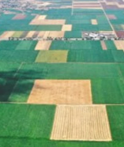 Ekilmeyen araziler bakanlık tarafından kiralanacak! İşte detaylar...